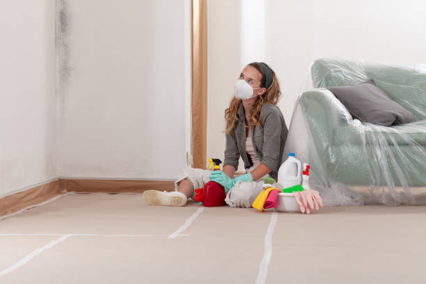 Trusted Mold Testing service in McClure, PA - WQB Mold Removal