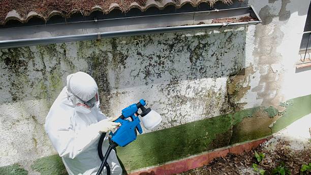 Top rated local Mold Testing specialists in McClure, PA